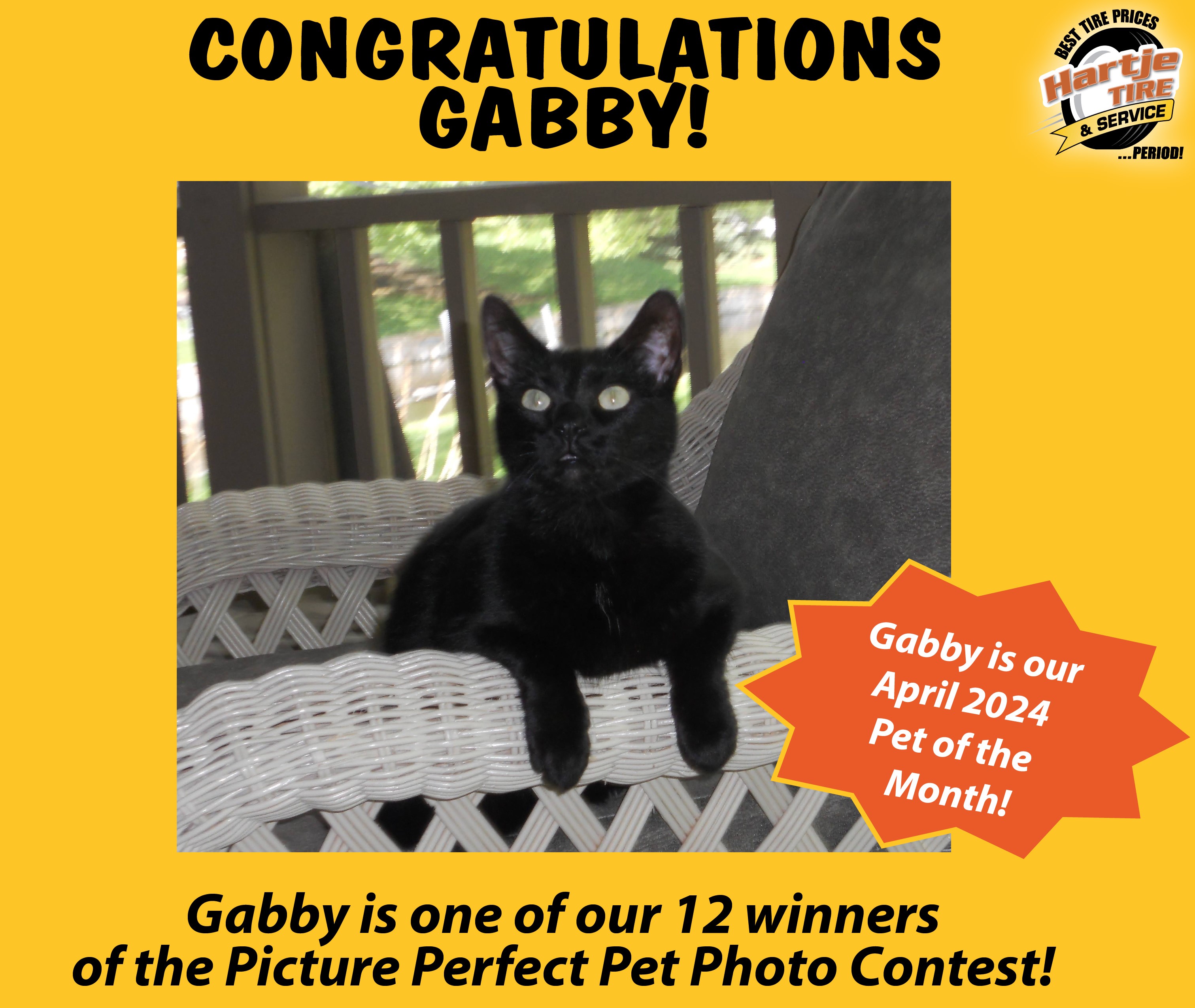 April 2024 Picture Perfect Pet of the Month: Gabby