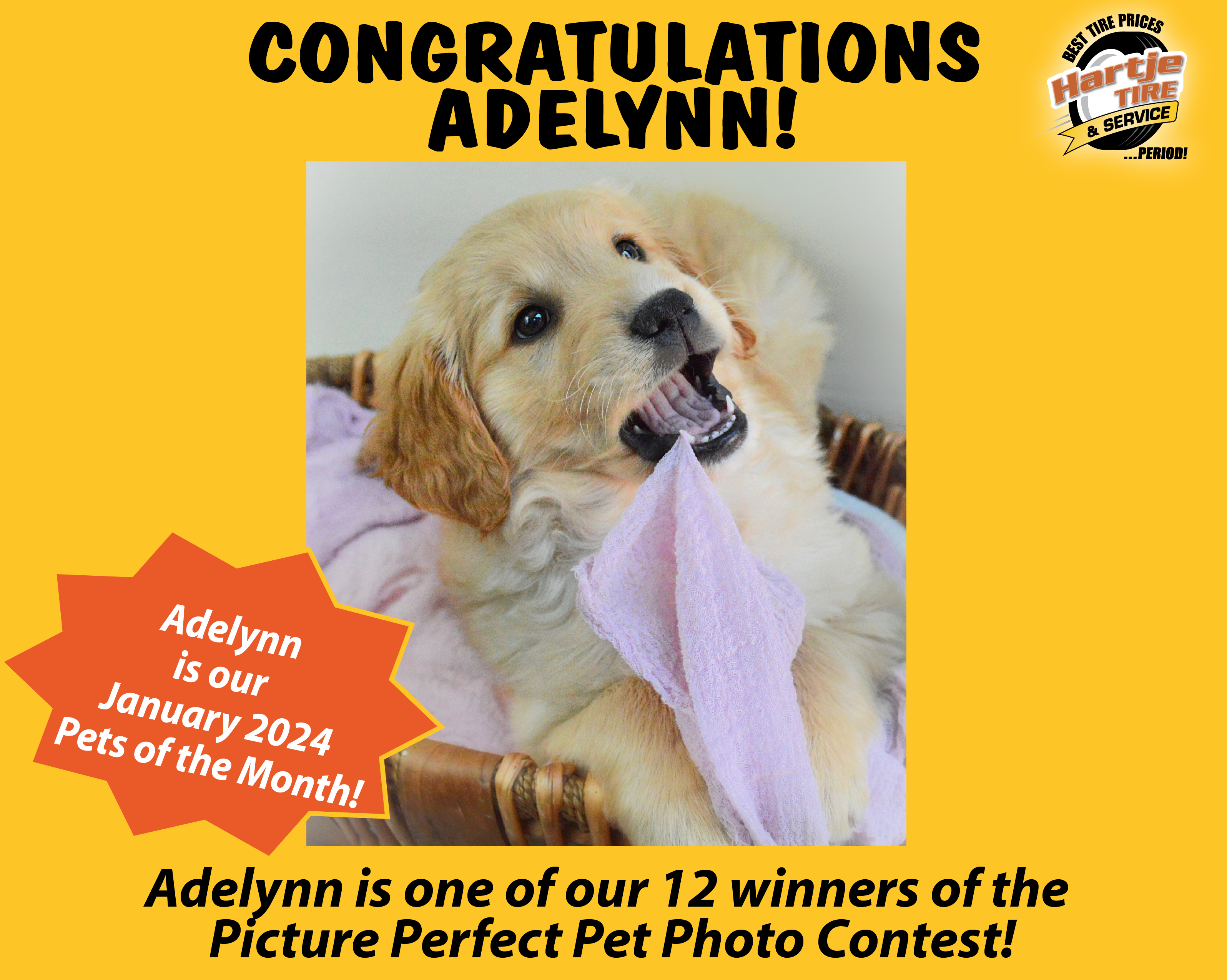January 2024 Picture Perfect Pet of the Month: Adelynn