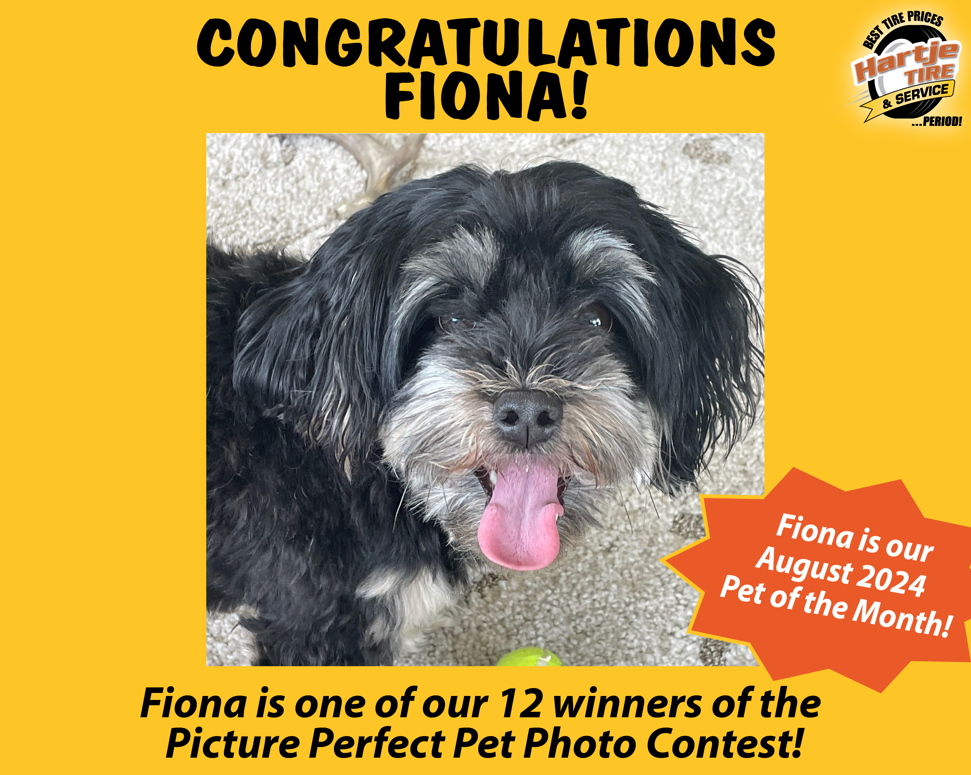 August 2024 Picture Perfect Pet of the Month: Fiona