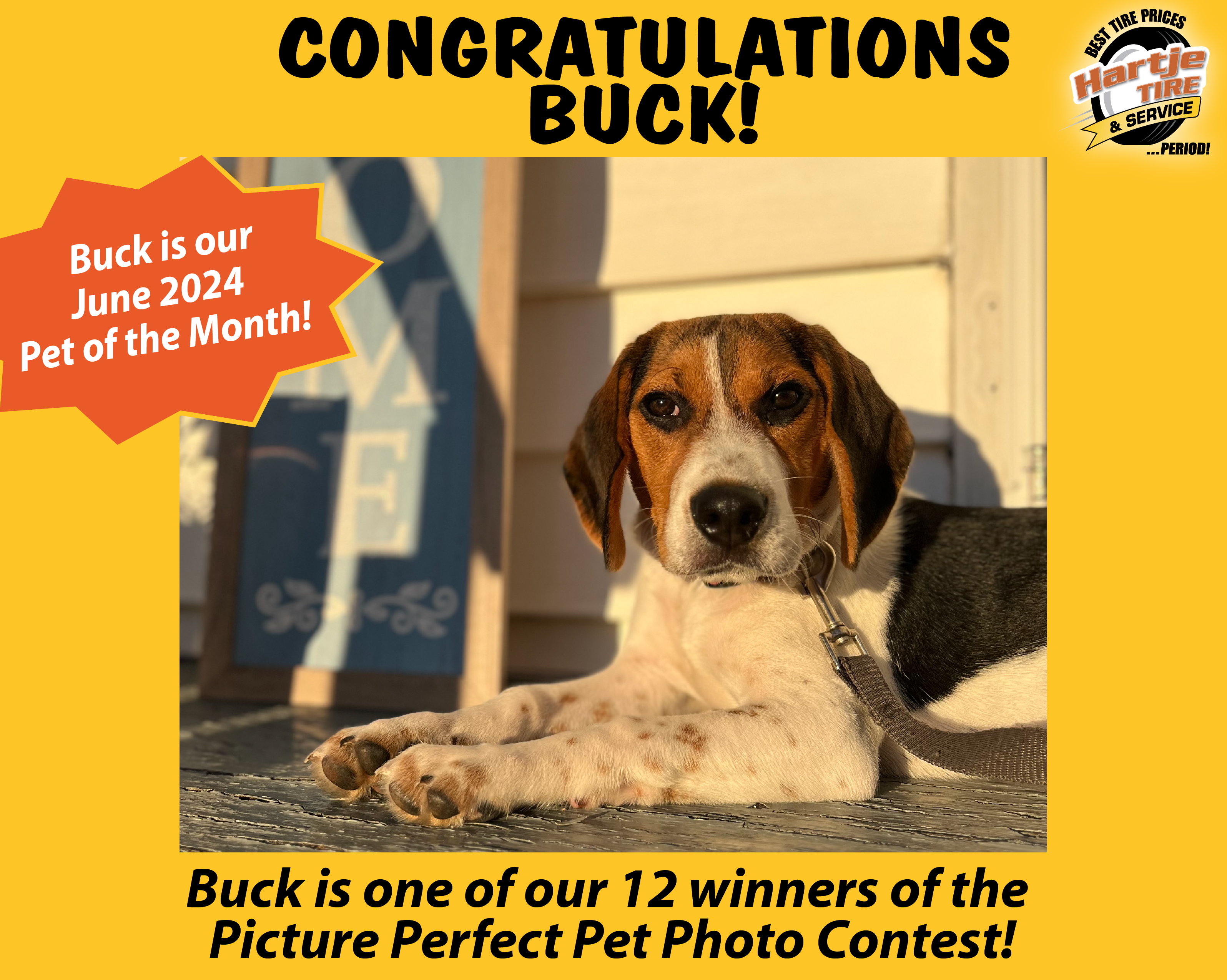 June 2024 Picture Perfect Pet of the Month: Buck