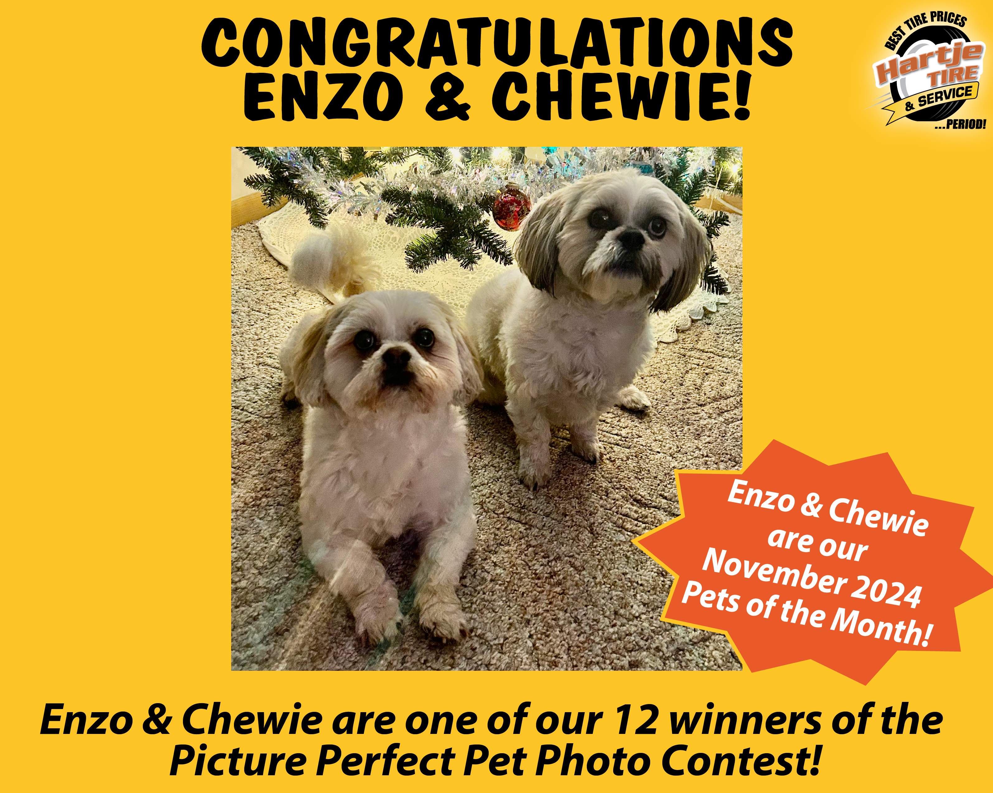 November 2024 Picture Perfect Pet of the Month: Enzo & Chewie