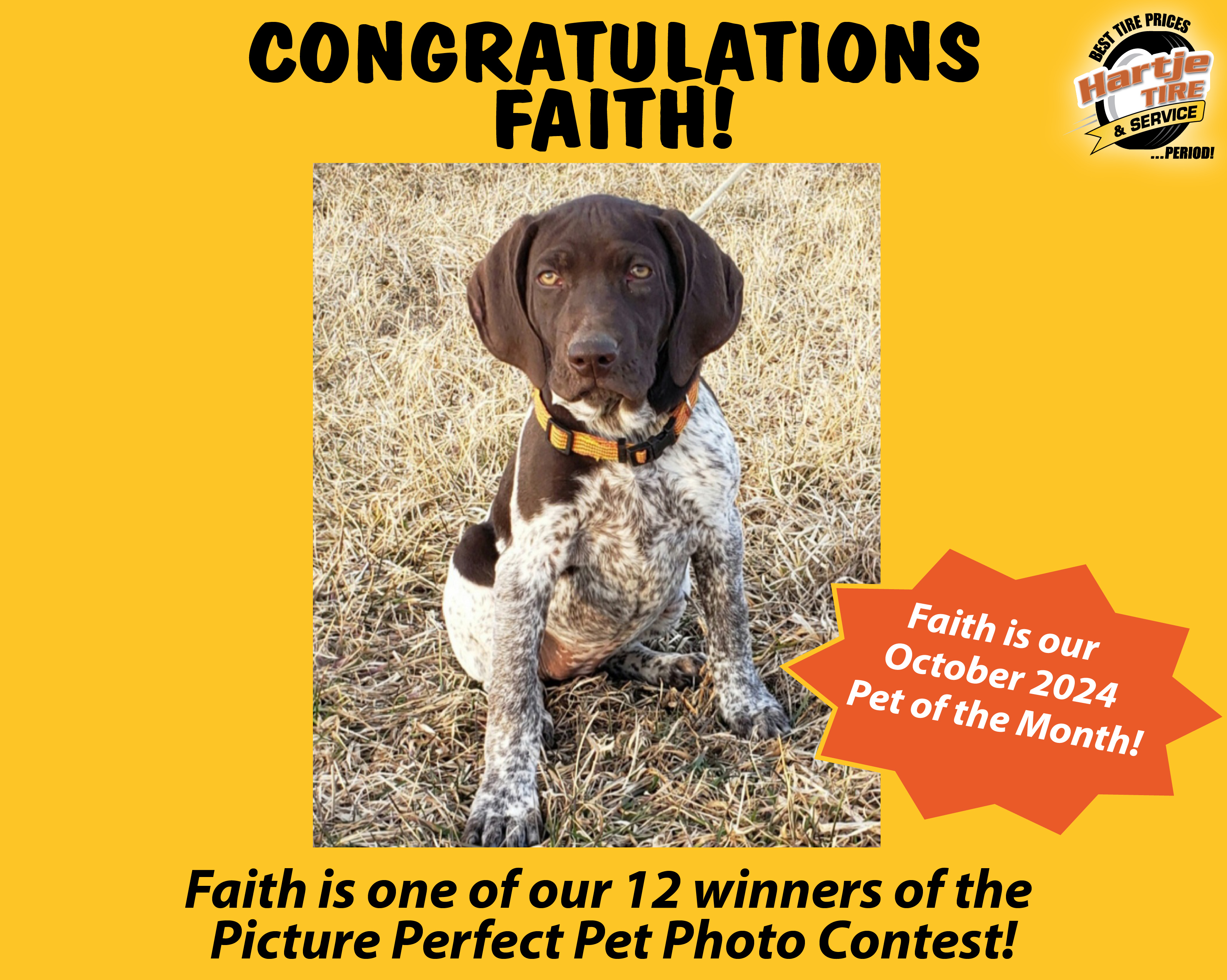 October 2024 Picture Perfect Pet of the Month: Faith 